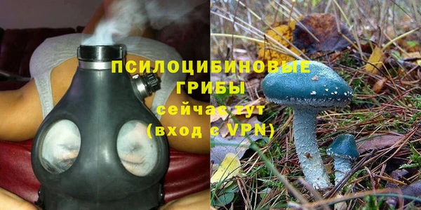 прущая мука Магадан