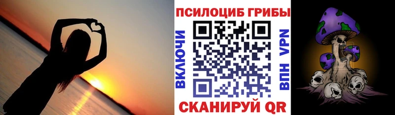 Галлюциногенные грибы ЛСД  сколько стоит  Мамадыш 